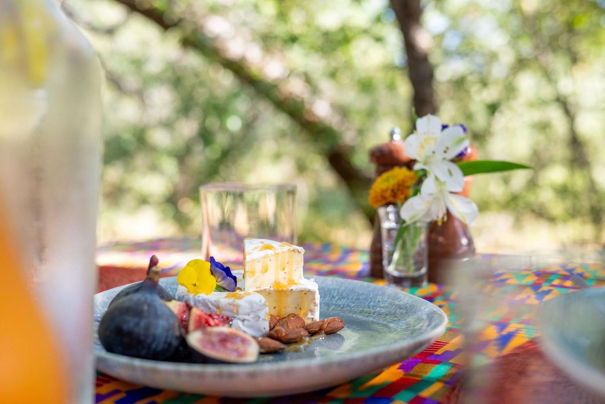 Rafiki Bush Lodge Hoedspruit Ngoại thất bức ảnh